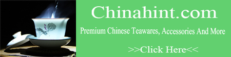 chinahint.com